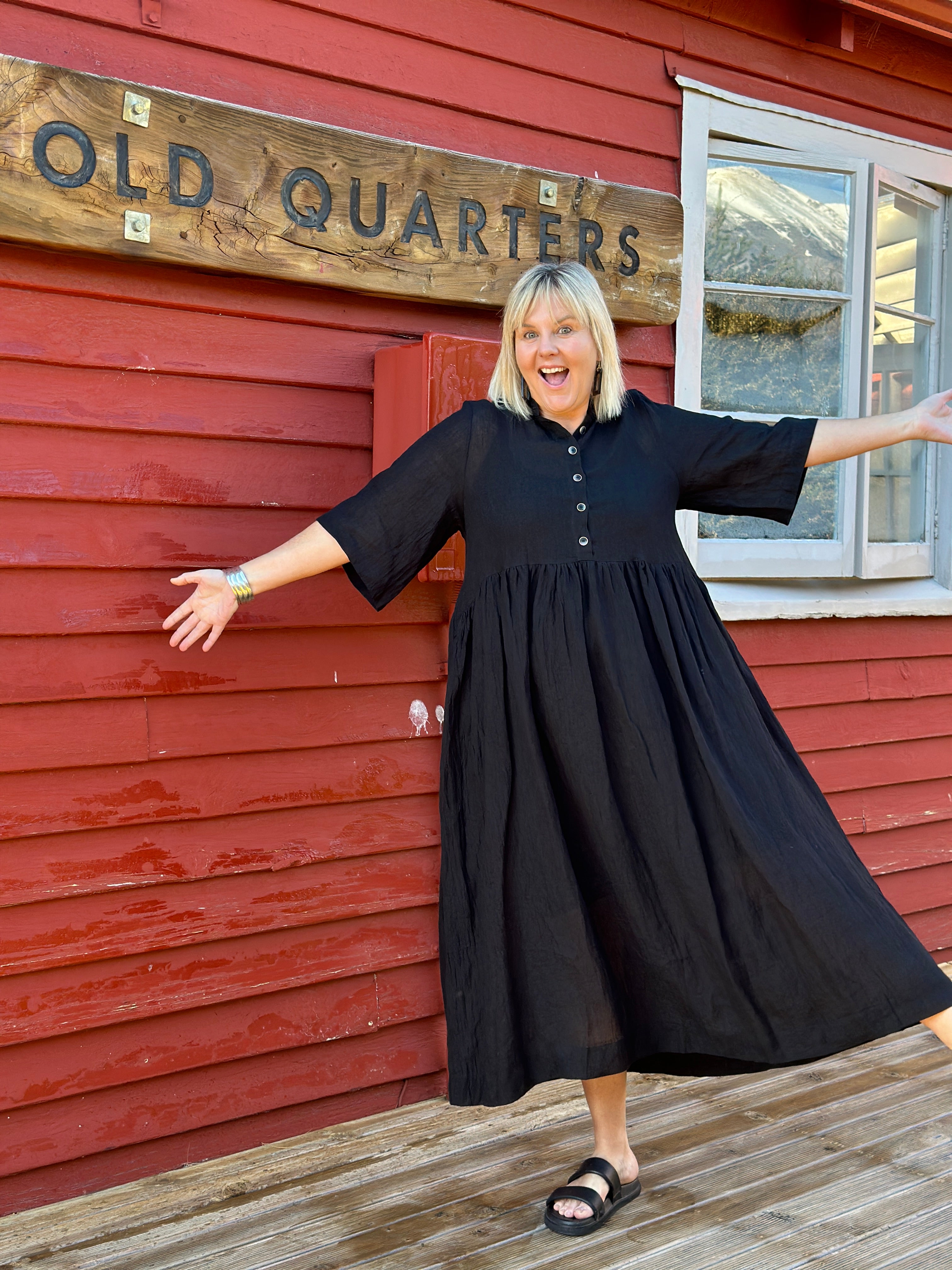 Brylee Dress - Black Flax